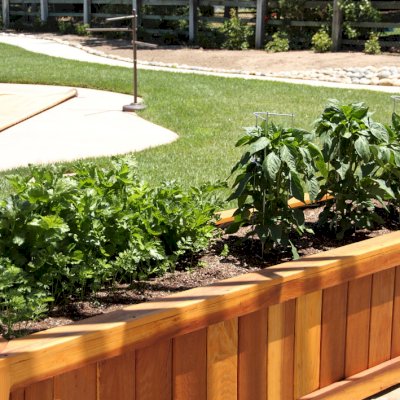 Sonoma Planters (Options: 96" L, 30" W x 24" H, California Redwood, No Seating Ledge, 1-inch Feet, No Trellis, Interior and Exterior of Box with Sealant (No Growing Vegetables), Transparent Premium Sealant). Photo Courtesy of Samuel P. of Atascadero, CA.