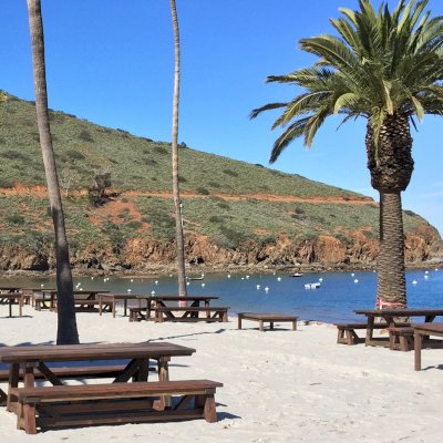 Classic Redwood Patio Table (Options: California Redwood, Side Benches, 1 Full Length Bench Per Side, Standard Tabletop, Slightly Rounded Corners, No Umbrella Hole, Coffee Stain Premium Sealant). Photo Shows Customized Version of Patio Tables. Tables Installed in Catalina Island, CA.