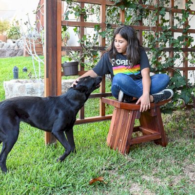 Sanctuary Wood Patio Bench (Options: Old-Growth, No Engraving, Transparent Premium Sealant).