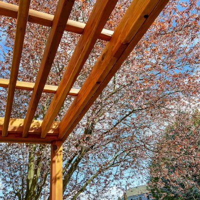 Custom Attached Silverado Modern Pergola (Options: 8' L, 8' W, Cantilevered Roof Style, 12" Roof Rafter Spacing, California Redwood, No Ceiling Fan Base, 2-Post Anchor kit for Concrete,Transparent Premium Sealant).