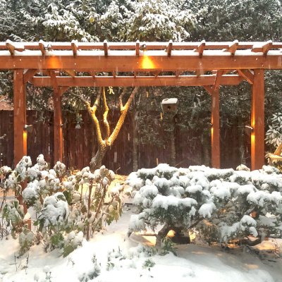 Traditional Wooden Garden Pergola (Options: 14' L x 10' W, California Redwood, No Electrical Wiring Trim, Open Roof with Slats at 18", Rafters at 18", 4-Post Anchor Kit for Concrete, No Ceiling Fan Base, No Privacy Panels, No Post Decorative Trims, No Curtain Rod, 9' Post Height, Transparent Premium Sealant). Photo Courtesy of S. Schmidt of Philadelphia, Pennsylvania.