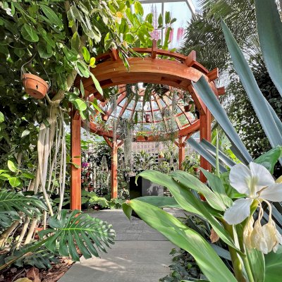 Wooden Dome Pergola (Options: 12' Diameter, Mosaic Douglas-fir, Open roof with slats at 12", Transparent Premium Sealant).
