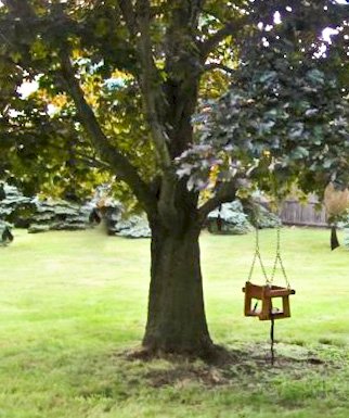 Toddler Swing Seats (Options: Mature Redwood, All Tree Hanging Hardware, Transparent Premium Sealant). Photo Courtesy of Jenny & Justin C. Lambertville, MI.