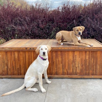 Traditional Wooden Storage Bench (Options: 84 L x 30 W x 24 H inches, Mosaic Redwood, Standard Seat - Single Flap, No Pistons, No Engraving, with Ventilation, Transparent Premium Sealant). Photo Courtesy of A. Metzger of Lake Elmo Minnesota.