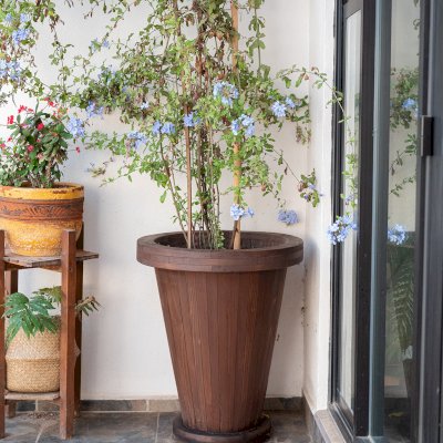 Vase Planter (Options: 15" x 25" x 30", Douglas-fir, Interior and Exterior of Box with Sealant (No Growing Vegetables), Coffee Stain Premium Sealant). Photo taken 2 years after installation.