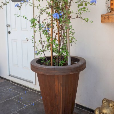 Vase Planter (Options: 15" x 25" x 30", Douglas-fir, Interior and Exterior of Box with Sealant (No Growing Vegetables), Coffee Stain Premium Sealant). Photo taken 2 years after installation.