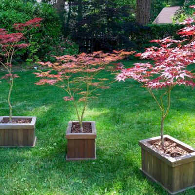 Window Box Planters. Photo Courtesy of Gary Witte.