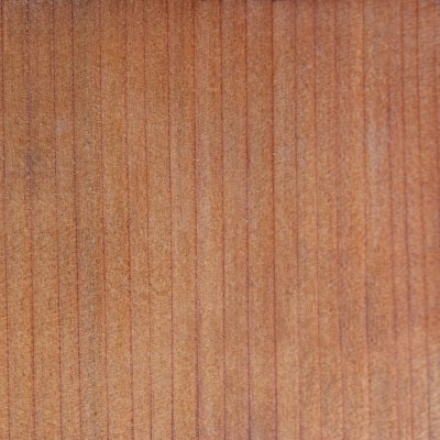 Mature Redwood Sample.