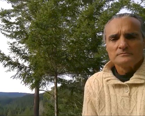 Restoration Forestry & Becoming a Conservation-Investor: Q&A