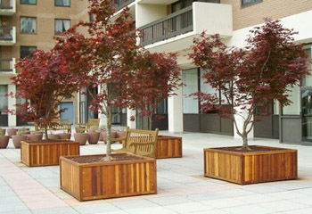 Planters
