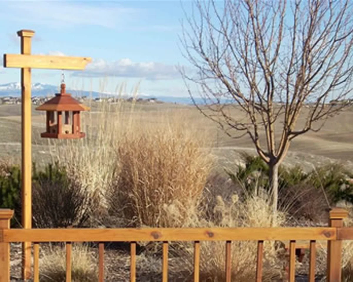 Aviary Oasis Bird Feeders