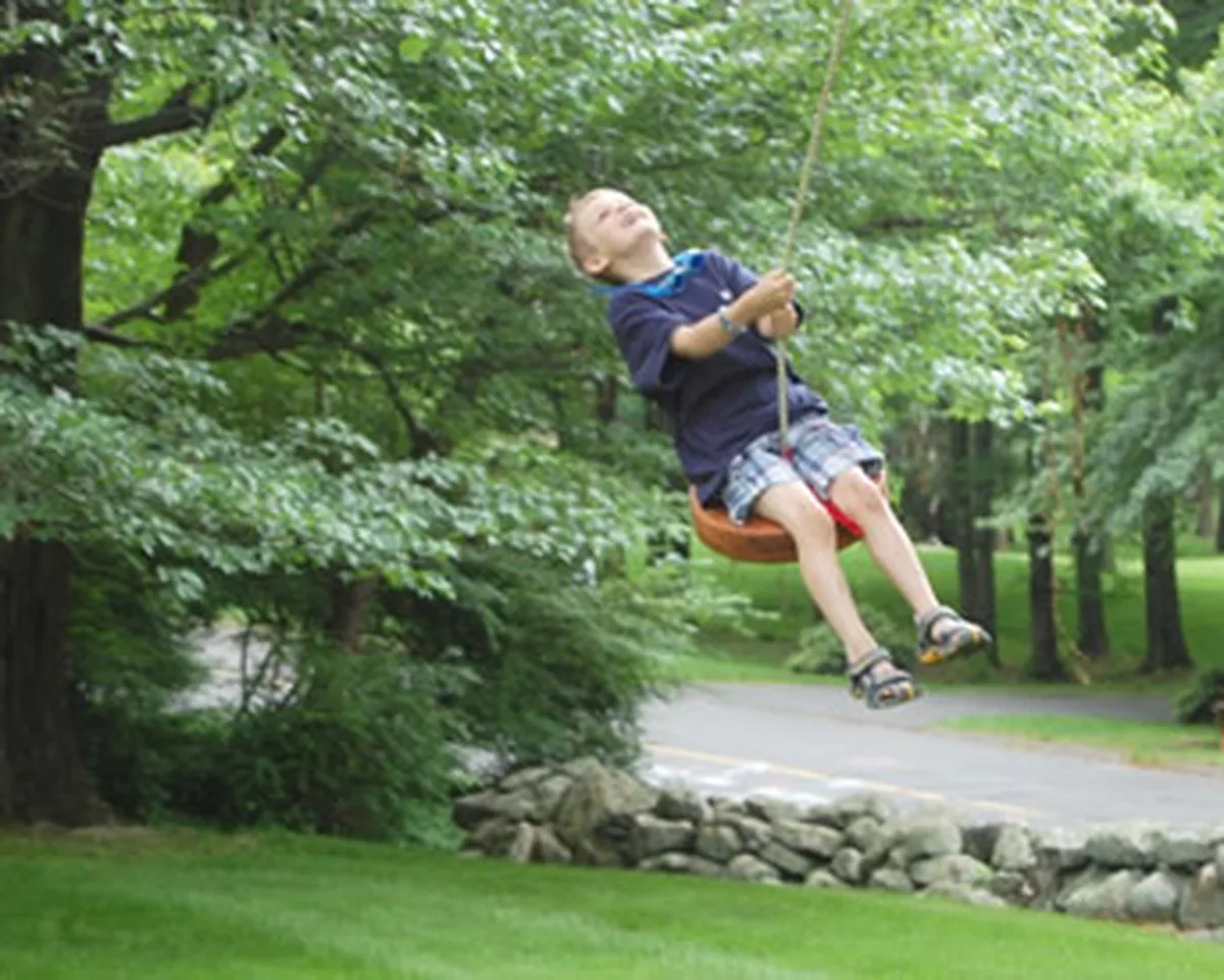 Disk Swing Seats