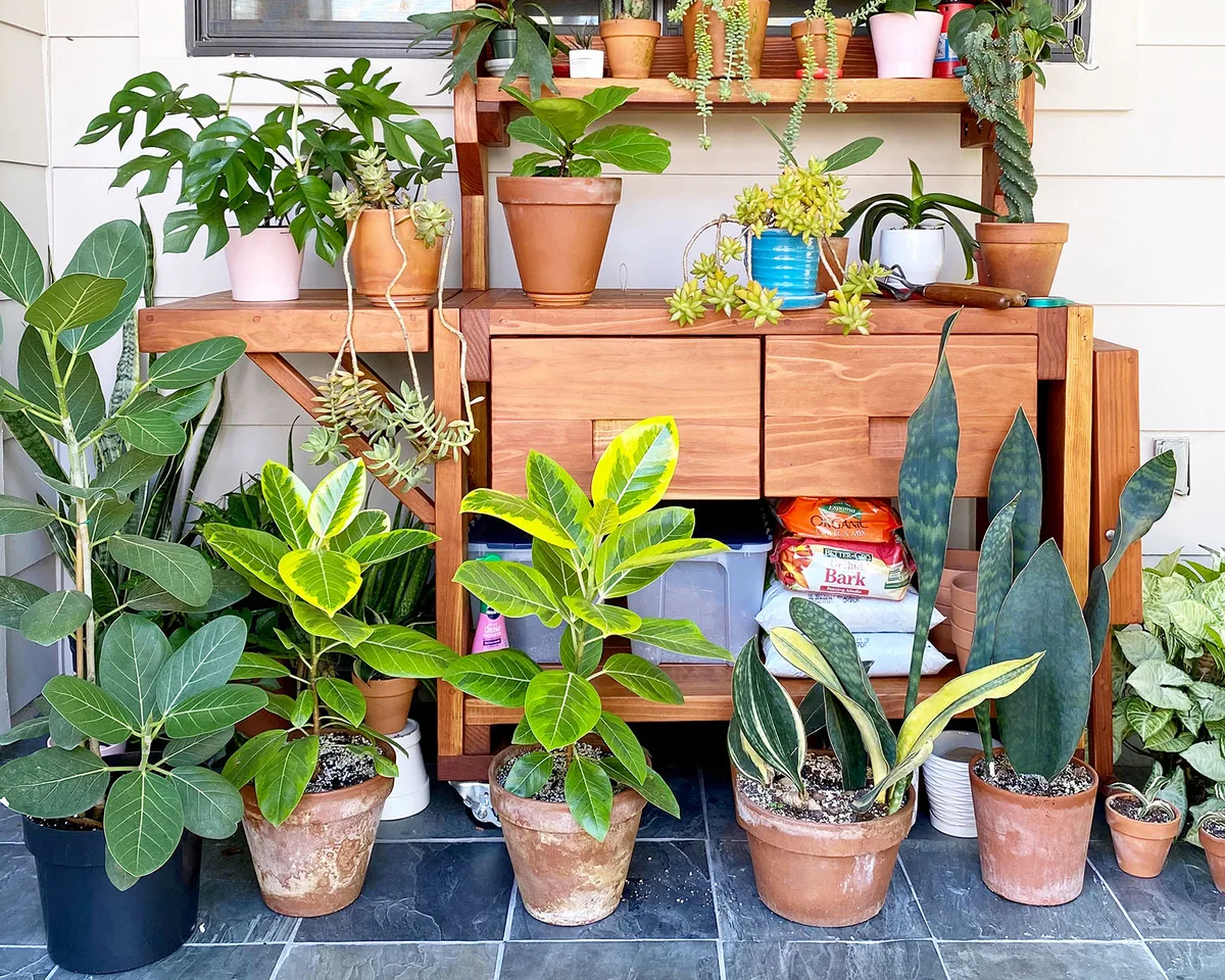 Eli's Redwood Potting Bench