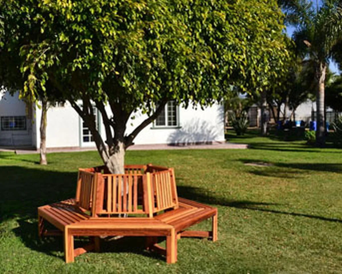 Memorial Natural Redwood Tree Bench