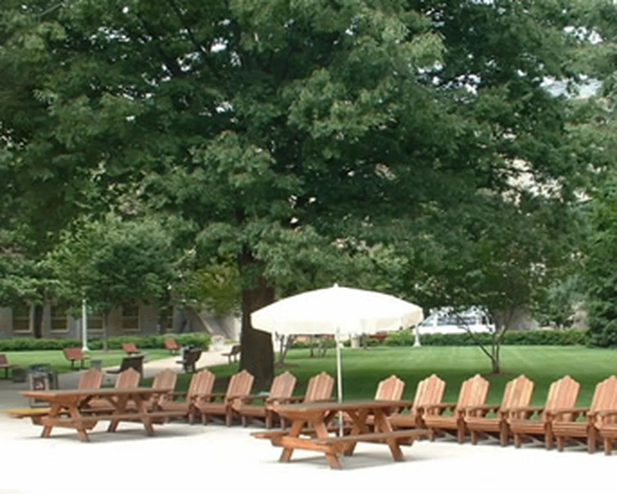 Redwood Adirondack Chair