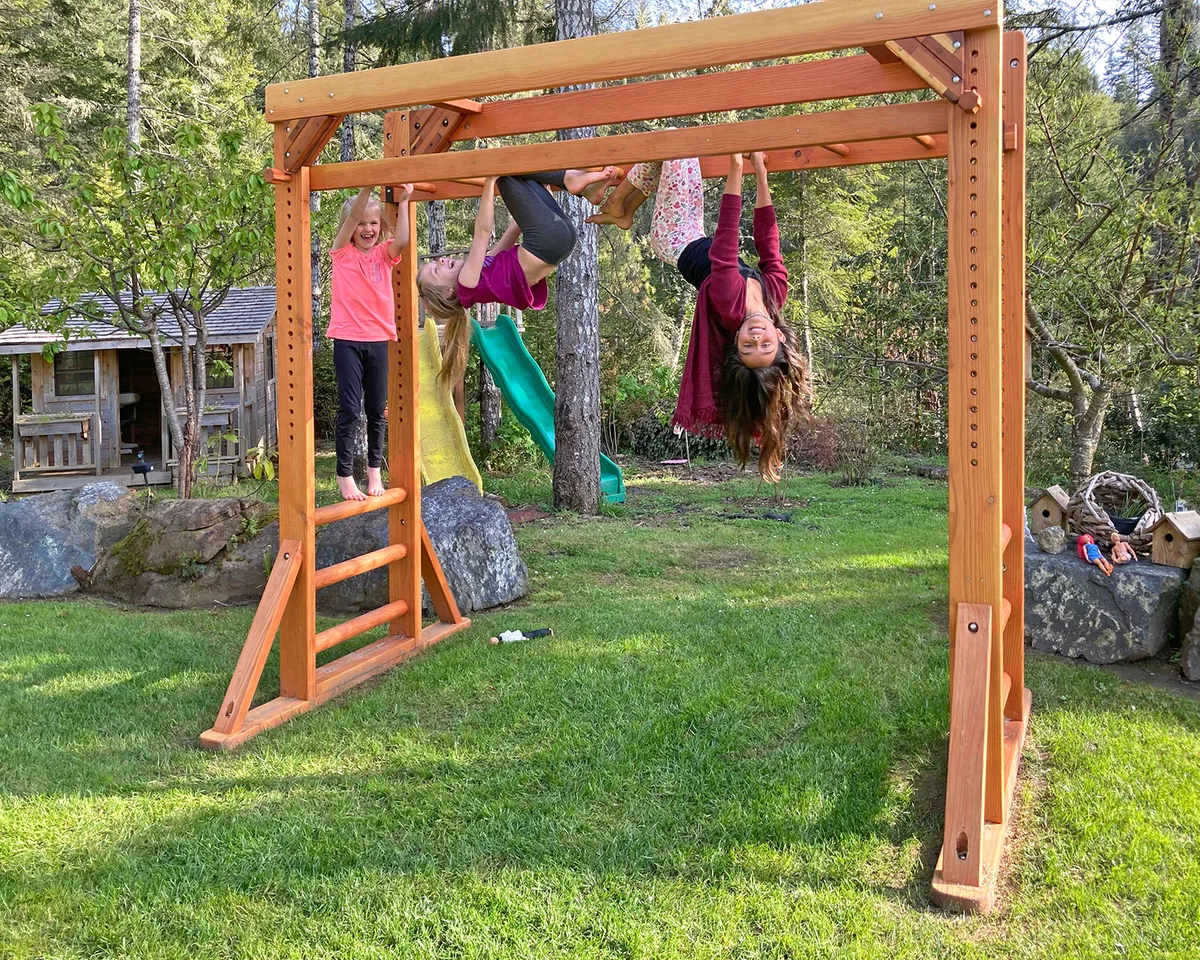 Sheldon's Monkey Bars