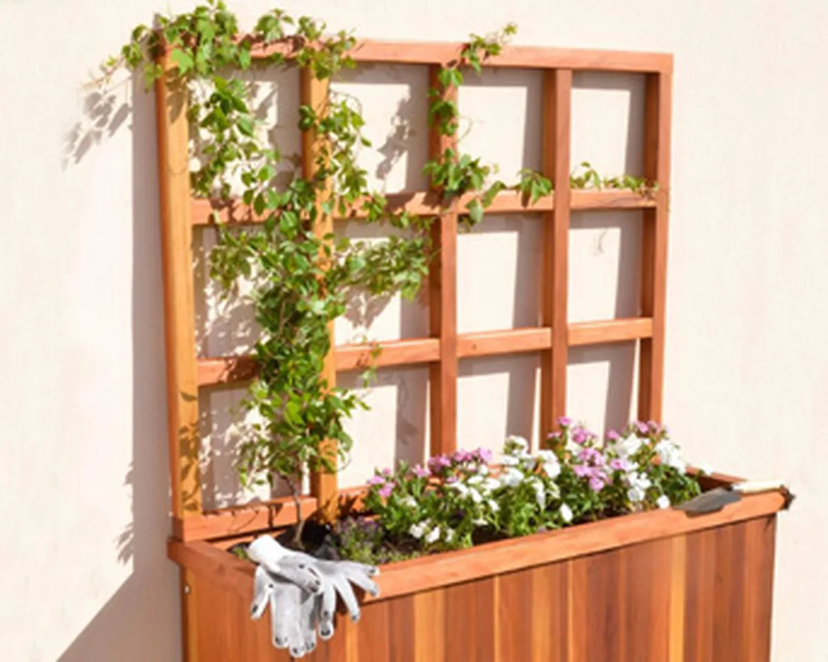 Trellises for Planters